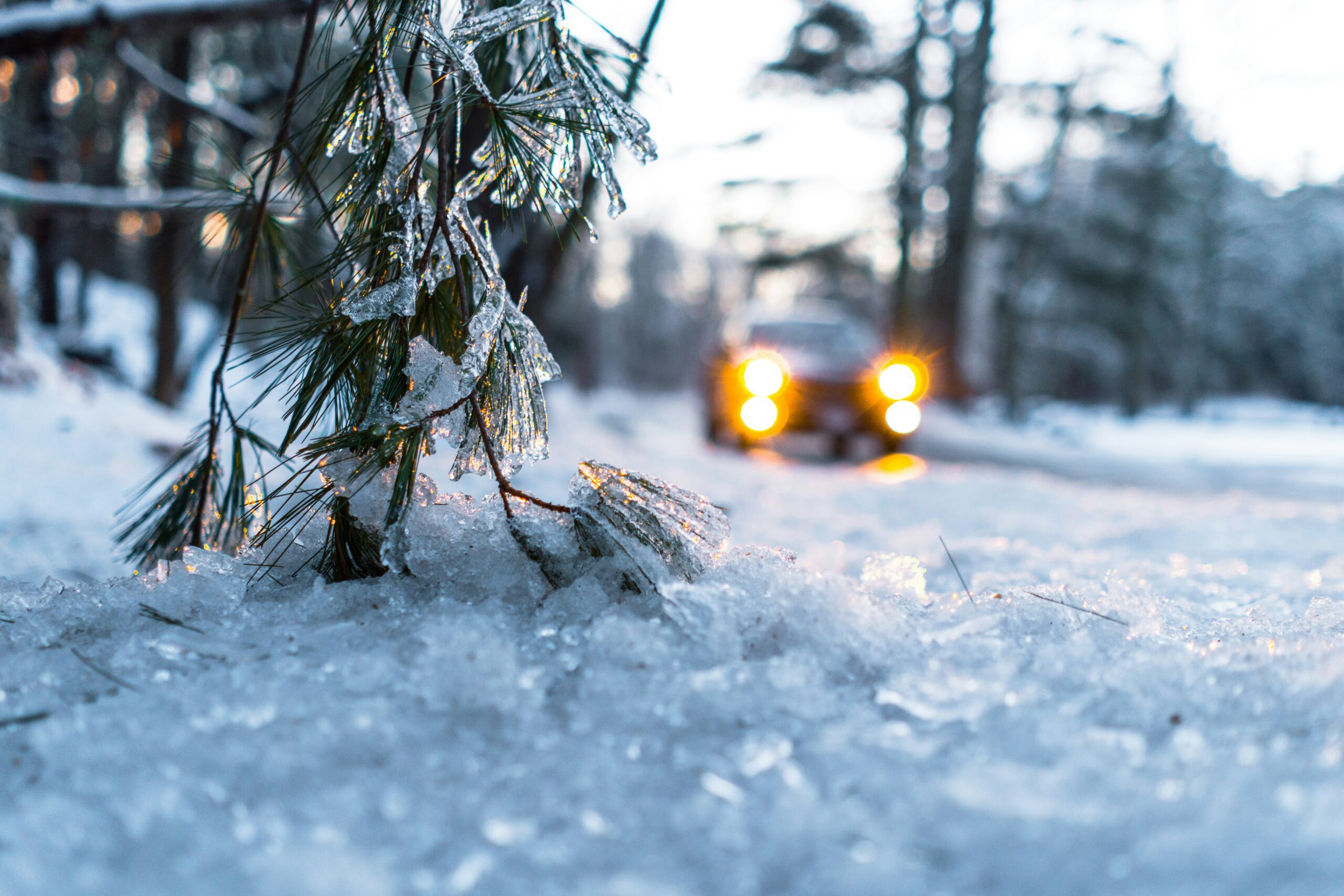 Car driving in snow in winter. Blurred, bright headlights. Snow and frost on tree branch in forefront.